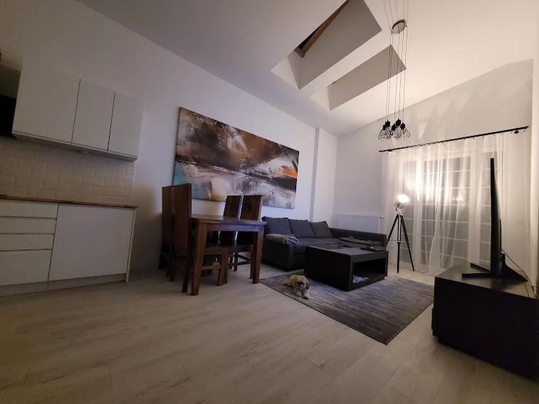 Apartament W Starym Mlynie Loft Rozanka Вроцлав Екстериор снимка